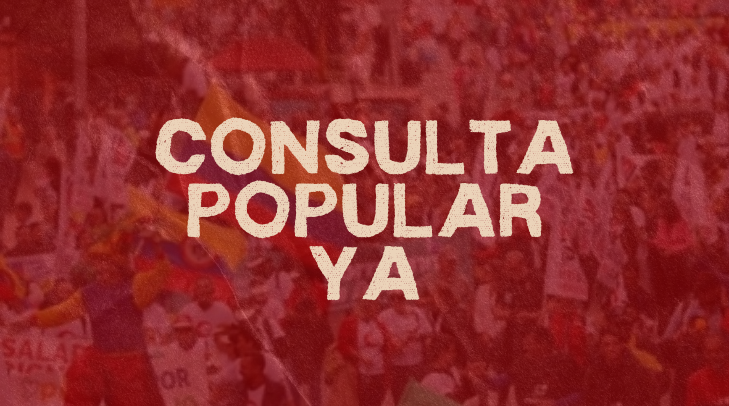 La Consulta Popular: un Llamado a la democracia y a la defensa de los derechos